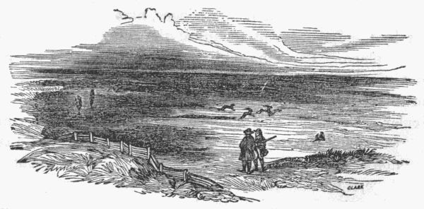 Tailpiece&mdash;Prairie Scene