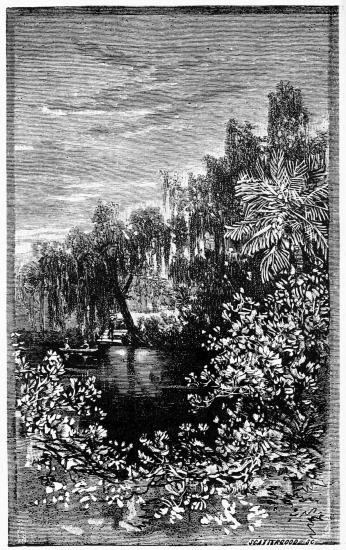 SCENE IN A SOUTH FLORIDA HAMMOCK&mdash;Page 28.