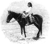 A Son of the Desert