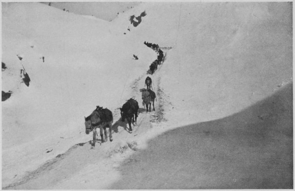 Coming down the White Pass&mdash;Winter.