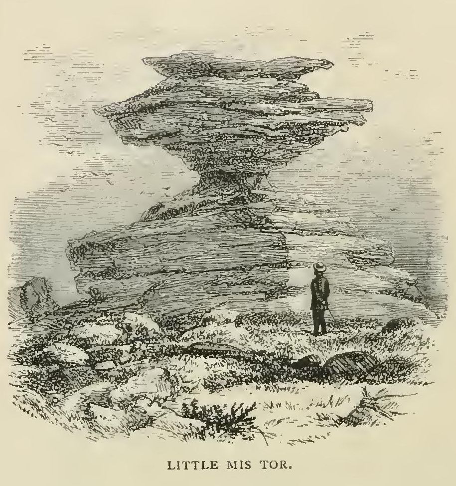 9142 