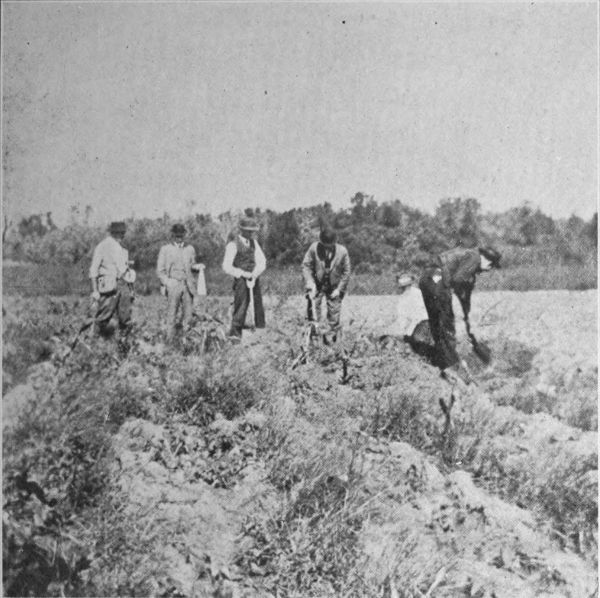 Plate No 1 At research on Ramey Farm in field near
Monks Mound, October, 1913