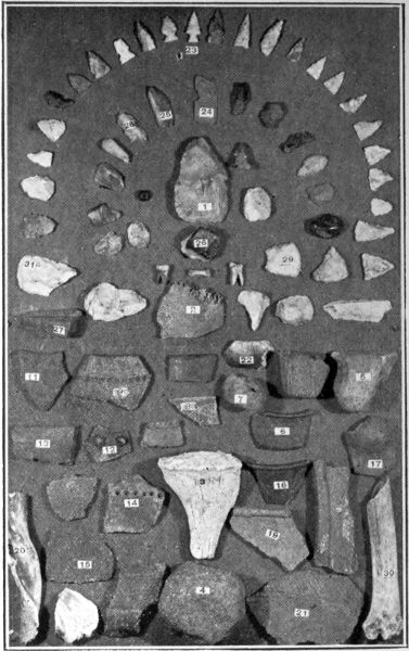 Plate No. 2 Characteristic surface finds from location
shown on plate 1.
