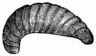 Fig. 321.&mdash;Larva of the Bee (magnified).