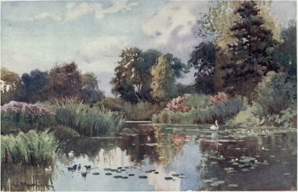 THE LAKE IN BOTANIC GARDENS

Many different kinds of trees surround this winding water, the banks of
which are lined with a variety of rushes and reeds, and are inhabited by
many sorts of water-fowl.