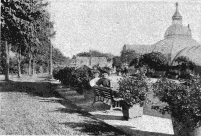 LAFONTAINE PARK