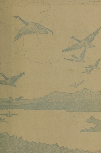 end-paper