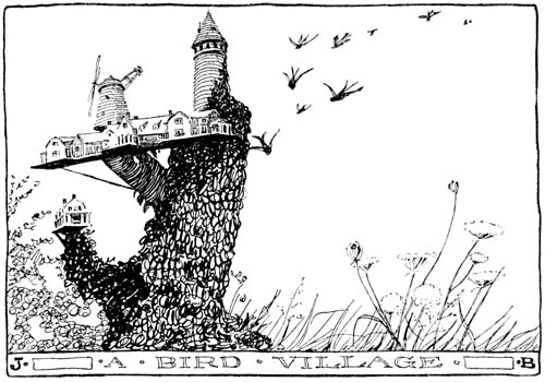 A BIRD VILLAGE