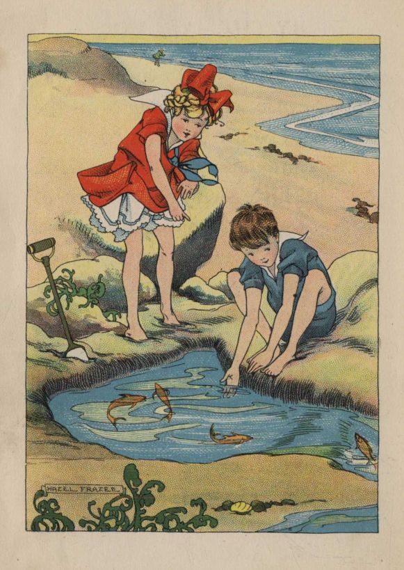 (sardines)