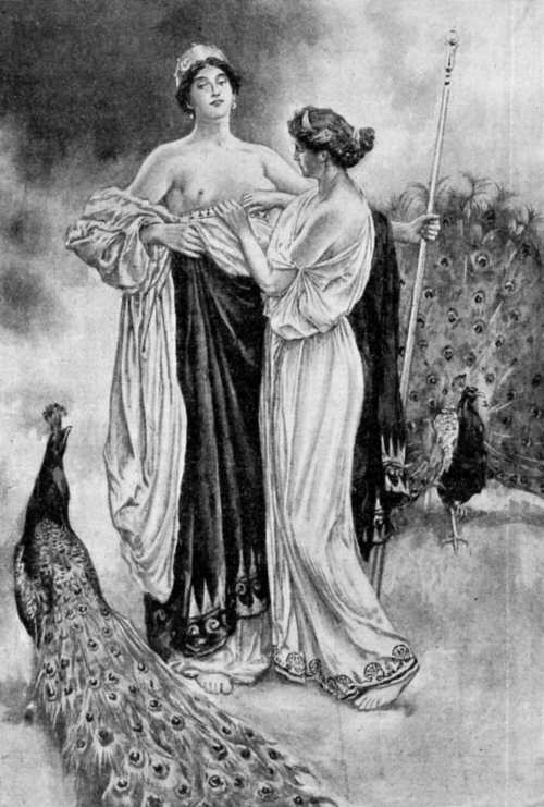 Ilustración