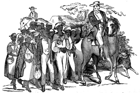 The slave-trader Walker and the author driving a gang of
slaves to the southern market