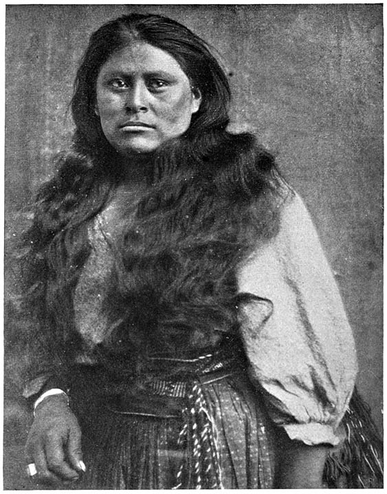 Fig. 4. T�napa.
