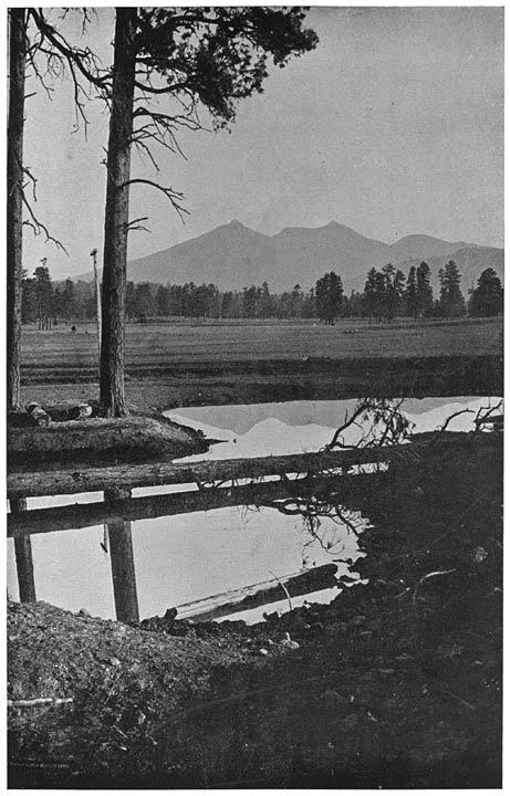 Plate II. SAN FRANCISCO MOUNTAIN (DOKOSL�D), ARIZONA.56
