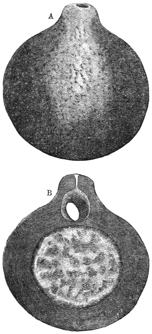 Fig. 9.—Work of Phanæus Milo.