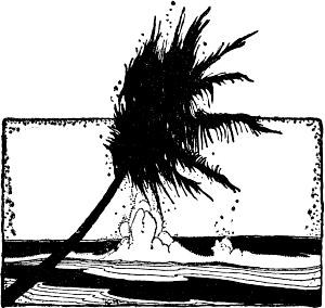 palm