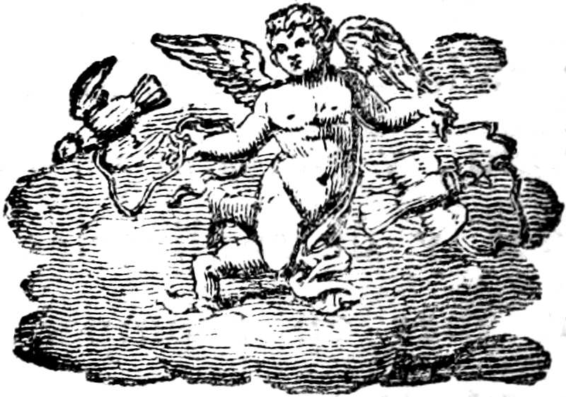 Viñeta ornamental