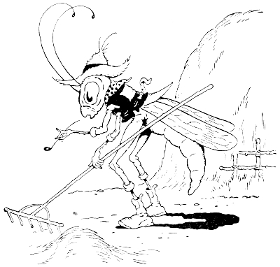grasshopper