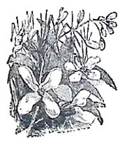 image013