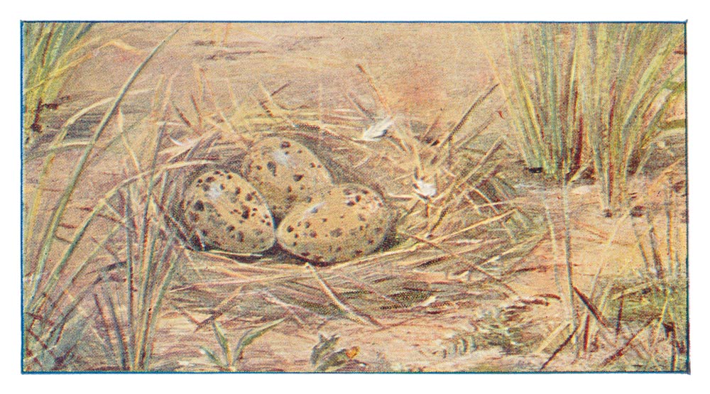 130