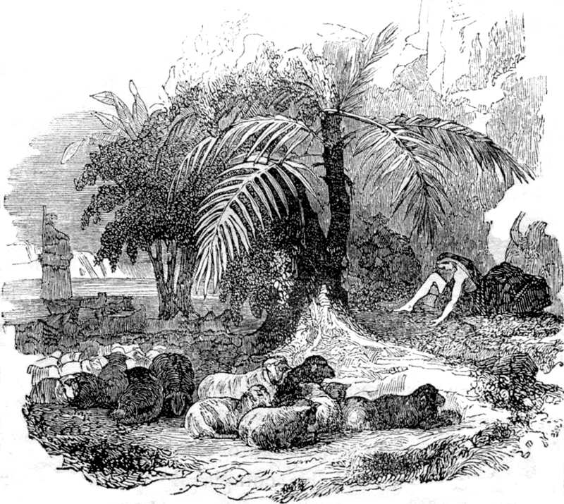 Ilustración