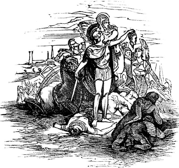 Ilustración