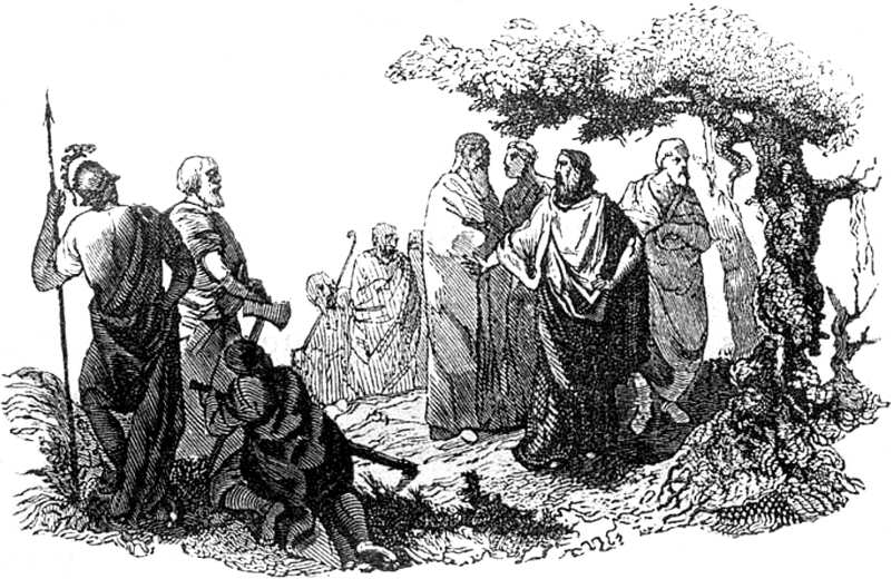 Ilustración