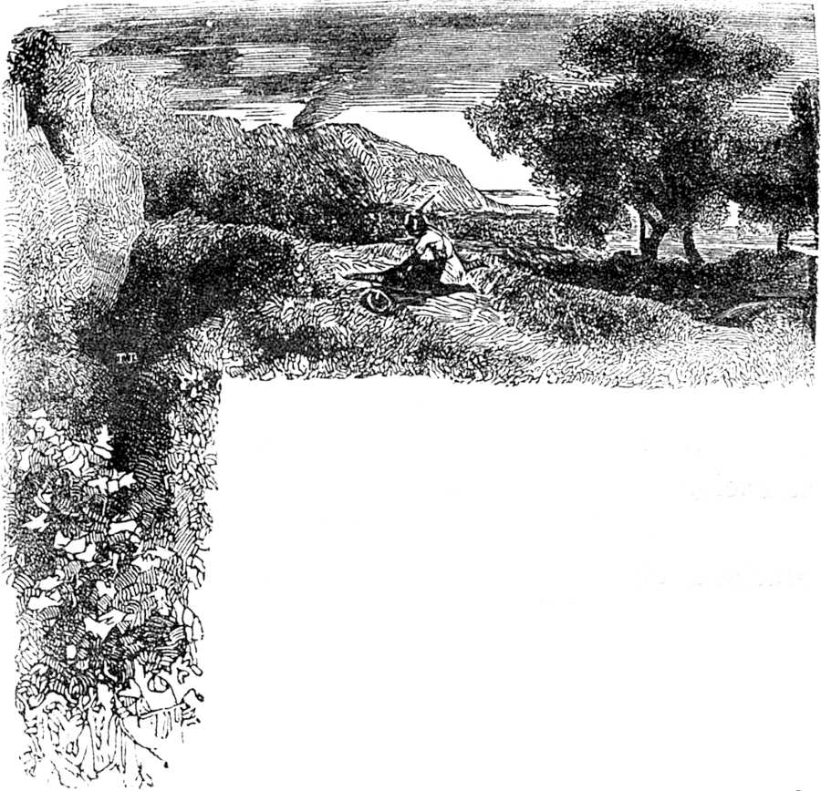 Cabecera ilustrada