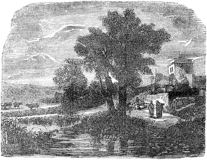 Ilustración