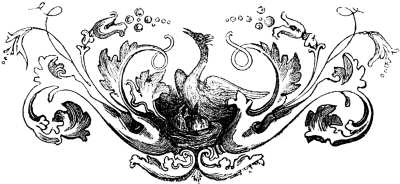 Viñeta ornamental
