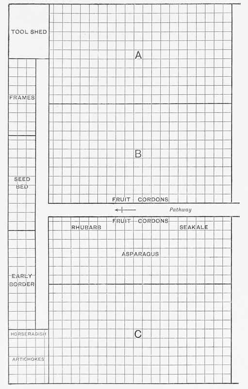 A plan for a garden divided into squares